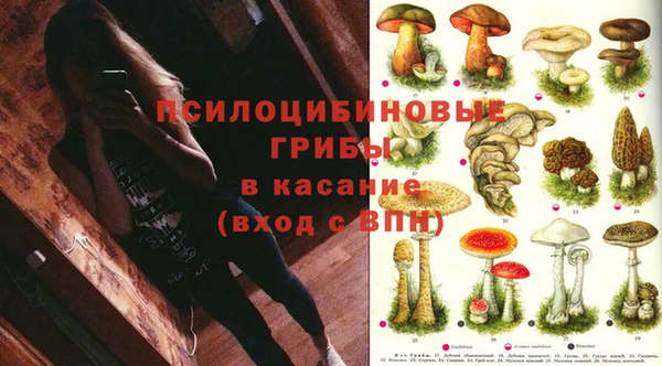 mdpv Вяземский