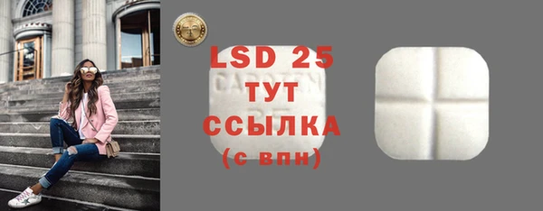 mdpv Вяземский