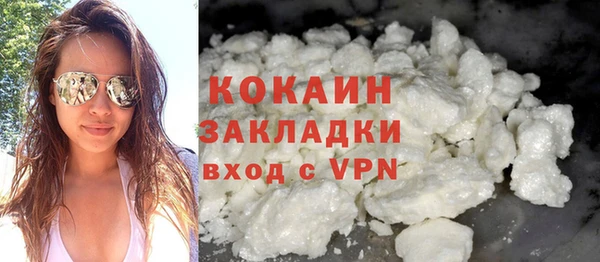 mdpv Вяземский